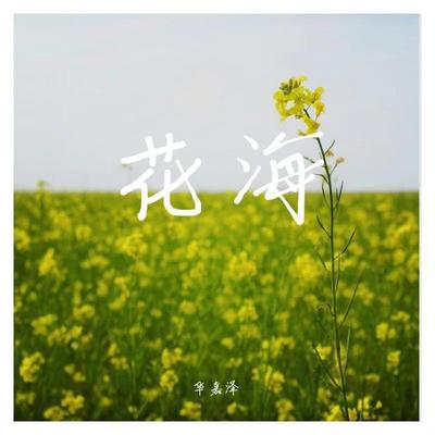 周杰伦《花海》鼓谱 - 架子鼓谱 - 高还原