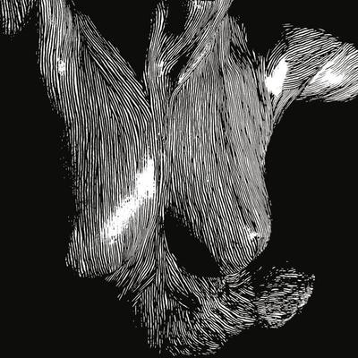 时代少年团《披风》鼓谱 - 架子鼓谱 - 为你而歌&middot;致敬中国航天